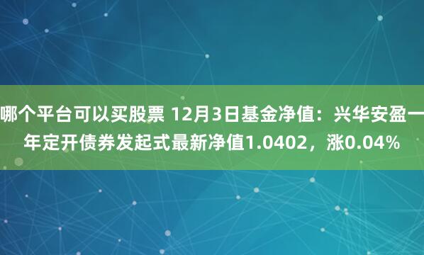 哪个平台可以买股票 12月3日基金净值：兴华安盈一年定开债券发起式最新净值1.0402，涨0.04%