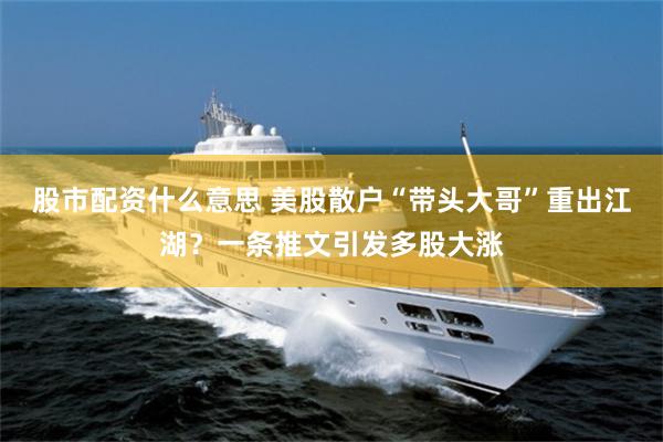 股市配资什么意思 美股散户“带头大哥”重出江湖？一条推文引发多股大涨