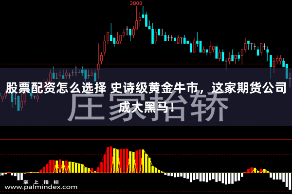 股票配资怎么选择 史诗级黄金牛市，这家期货公司成大黑马！
