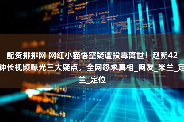 配资排排网 网红小猫悟空疑遭投毒离世！赵朔42分钟长视频曝光三大疑点，全网怒求真相_网友_米兰_定位