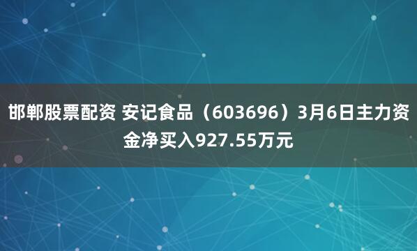 邯郸股票配资 安记食品（603696）3月6日主力资金净买入927.55万元