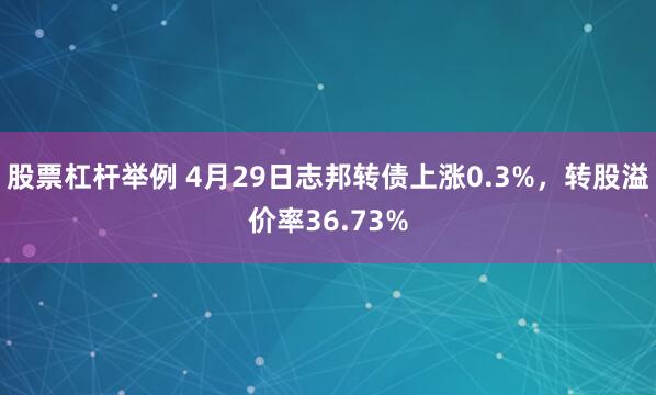 股票杠杆举例 4月29日志邦转债上涨0.3%，转股溢价率36.73%