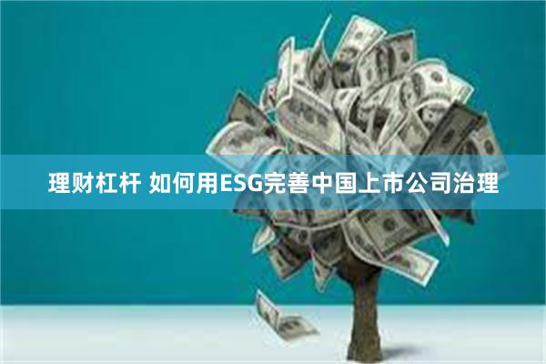 理财杠杆 如何用ESG完善中国上市公司治理