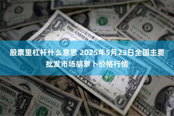 股票里杠杆什么意思 2025年5月23日全国主要批发市场胡萝卜价格行情
