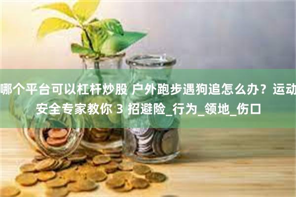 哪个平台可以杠杆炒股 户外跑步遇狗追怎么办？运动安全专家教你 3 招避险_行为_领地_伤口