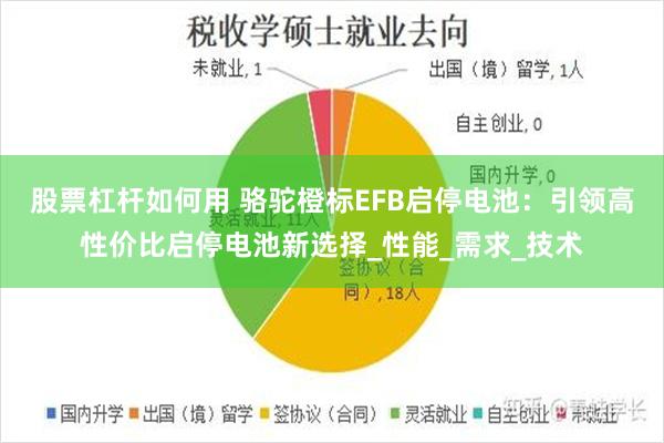 股票杠杆如何用 骆驼橙标EFB启停电池：引领高性价比启停电池新选择_性能_需求_技术