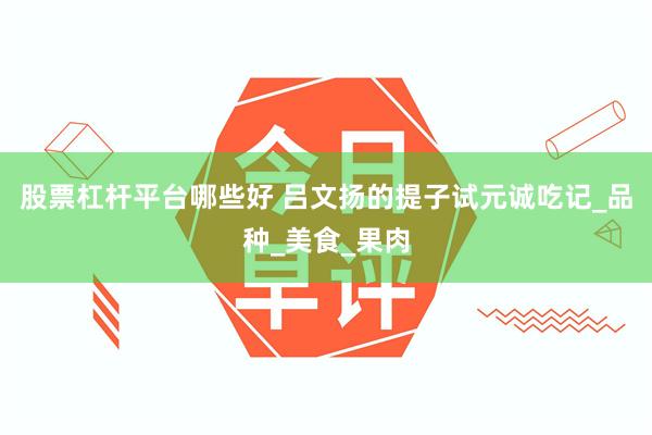 股票杠杆平台哪些好 吕文扬的提子试元诚吃记_品种_美食_果肉